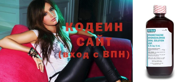 индика Ладушкин