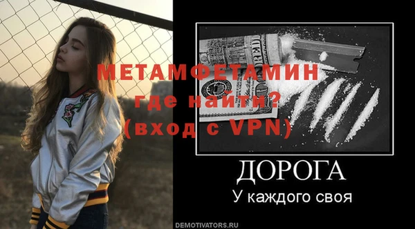 индика Ладушкин