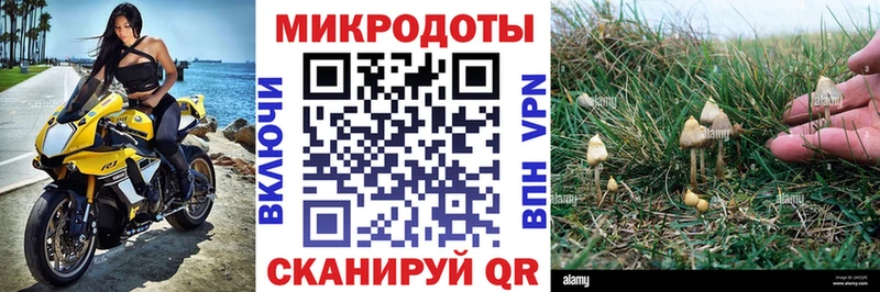 Псилоцибиновые грибы мицелий  Купить закладки  Калуга 